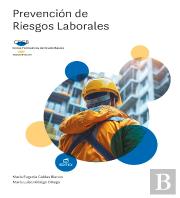 Prevencion De Riesgos Laborales