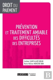 Prévention Des Difficultés Des Entreprises