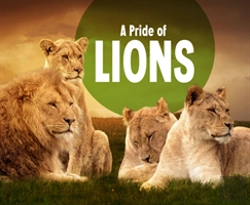 Bertrand.pt - Pride Of Lions A