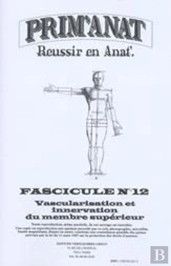 Bertrand.pt - Prim'Anat T.12 ; Vascularisation Et Innervation Supérieur