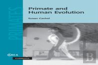 Primate And Human Evolution
