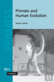 Primate And Human Evolution