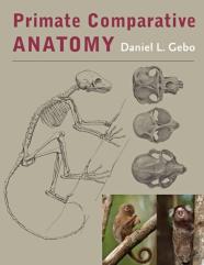 Primate Comparative Anatomy