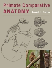 Primate Comparative Anatomy