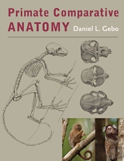 Bertrand.pt - Primate Comparative Anatomy