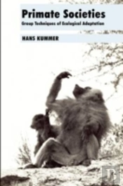 Primate Societies