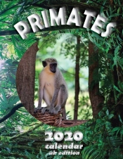 Primates 2020 Calendar (Uk Edition)