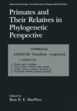 Bertrand.pt - Primates And Their Relatives In Phylogenetic Perspective
