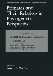 Primates And Their Relatives In Phylogenetic Perspective