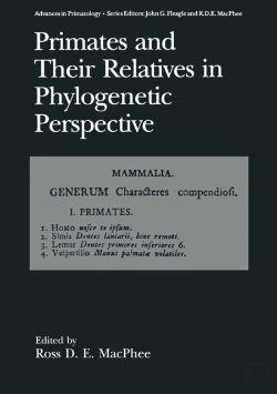 Bertrand.pt - Primates And Their Relatives In Phylogenetic Perspective