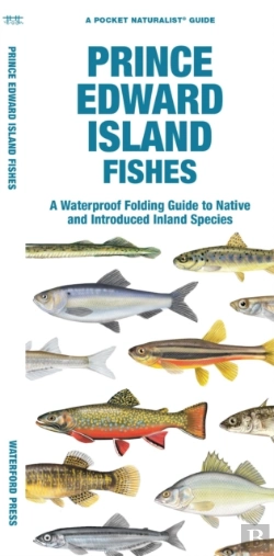 Bertrand.pt - Prince Edward Island Fishes