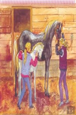 Bertrand.pt - Princess Top Horses Coloring Book