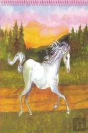 Princess Top Horses Coloring Book