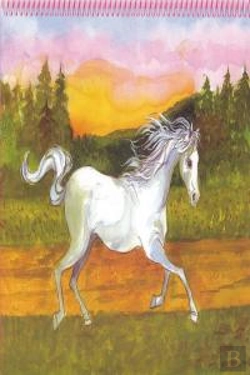 Bertrand.pt - Princess Top Horses Coloring Book