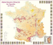 Principaux Cépages Des Vignobles De France