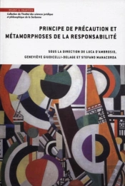 Principe De Précaution Et Métamorphoses De La Responsabilité