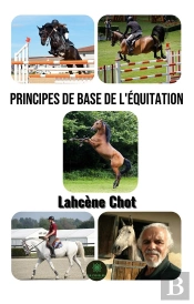 Principes De Base De L Equitation
