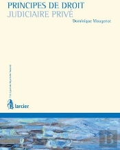 Principes De Droit Judiciaire Privé
