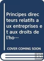 Principes Directeurs Relatifs Aux Entreprises Et Aux Droits De L'Homme