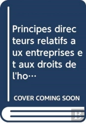 Principes Directeurs Relatifs Aux Entreprises Et Aux Droits De L'Homme