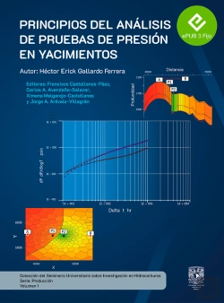 Bertrand.pt - Principios De Análisis De Pruebas De Yacimientos