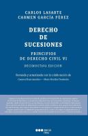 Principios De Derecho Civil.