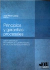 Principios Y Garantías Procesales.