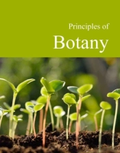 Principles Of Botany