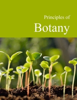 Bertrand.pt - Principles Of Botany