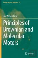 Principles Of Brownian And Molecular Motors