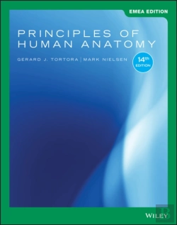 Bertrand.pt - Principles Of Human Anatomy, Emea Edition