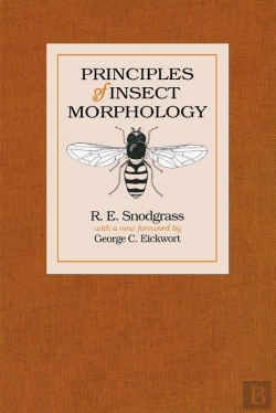 Bertrand.pt - Principles Of Insect Morphology