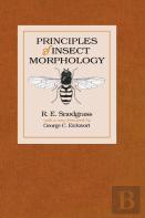 Principles Of Insect Morphology