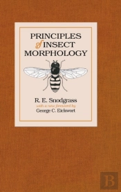 Principles Of Insect Morphology