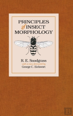 Bertrand.pt - Principles Of Insect Morphology