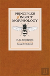 Principles Of Insect Morphology