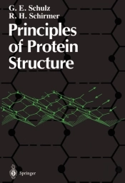 Principles Of Protein Structure