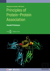 Principles Of Proteinprotein Association