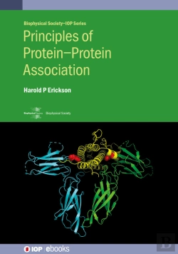 Bertrand.pt - Principles Of Proteinprotein Association