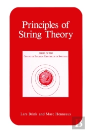 Principles Of String Theory