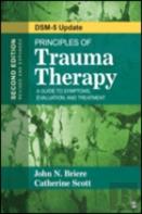 Principles Of Trauma Therapy
