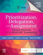 Prioritization, Delegation, And Assignment - E-Book
