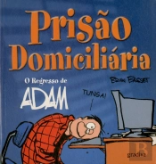 Prisão Domiciliária