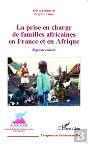 Prise En Charge De Familles Africaines En France Et En Afrique Regards Croises