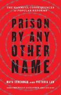 Prison By Any Other Name