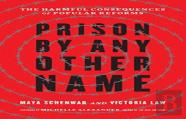 Prison By Any Other Name