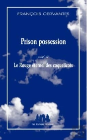 Prison Possession