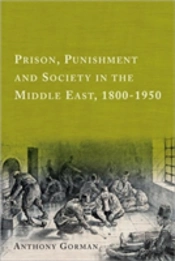 Prison Punishment And Society In T