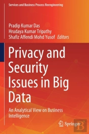 Privacy And Security Issues In Big Data