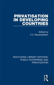 Privatisation In Developing Countries